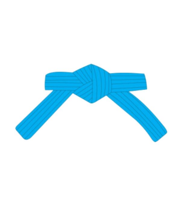 Blue Martial Arts Belts